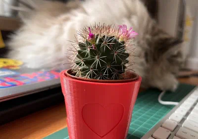 3D-Druck zum Valentinstag oder Mutter- / Vatertag