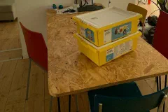 Katapult-Challenge beim Kidslab!